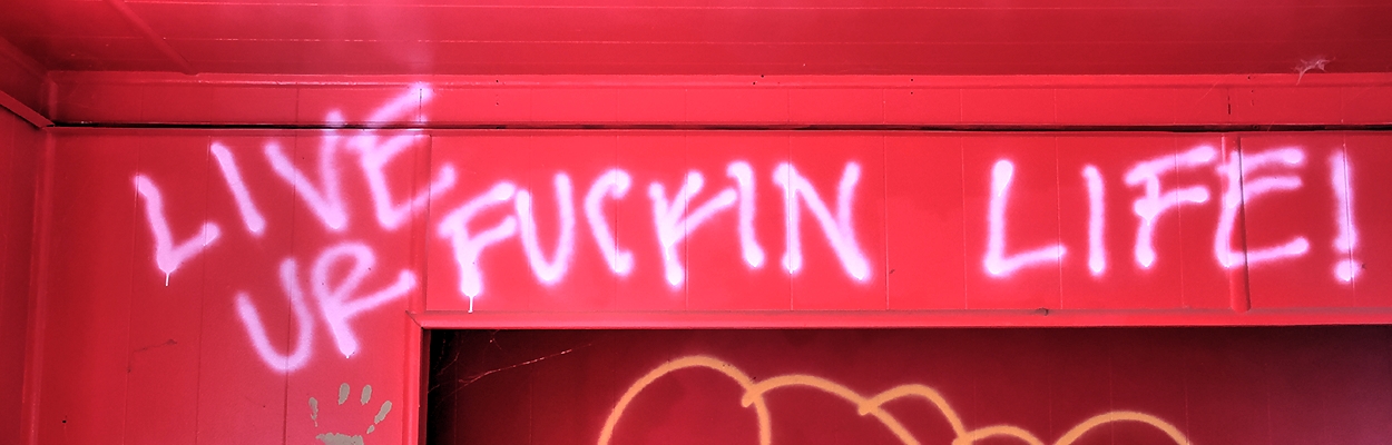 Neon pink graffiti that says LIVE UR FUCKIN LIFE!